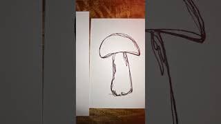 Day 11 Day 12 and Day 13