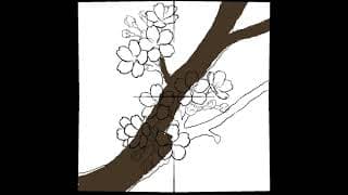 Everyone should blossom