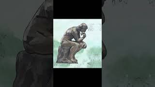 Collage Of Creations